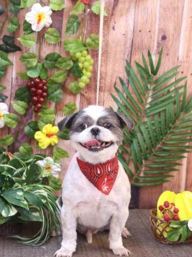 20230810大吉くん